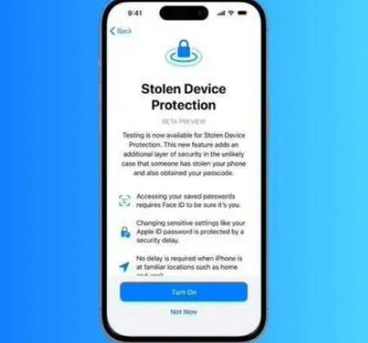 新龙镇苹果授权维修店分享被盗设备保护功能开启方法 