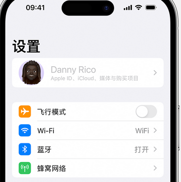 新龙镇appleID维修服务iPhone设置中Apple ID显示为灰色无法使用