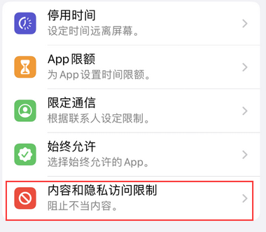 新龙镇appleID维修服务iPhone设置中Apple ID显示为灰色无法使用