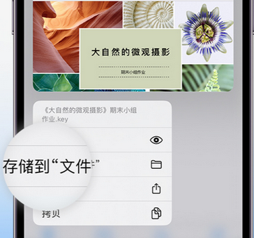 新龙镇apple维修中心分享iPhone文件应用中存储和找到下载文件