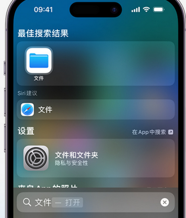 新龙镇apple维修中心分享iPhone文件应用中存储和找到下载文件 