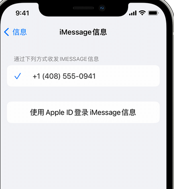 新龙镇apple维修iPhone上无法正常发送iMessage信息 