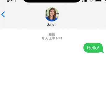 新龙镇apple维修iPhone上无法正常发送iMessage信息