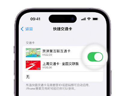 新龙镇apple维修点分享iPhone上更换Apple Pay快捷交通卡手绘卡面 