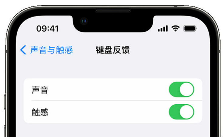 新龙镇苹果手机维修分享iPhone 14触感键盘使用方法 