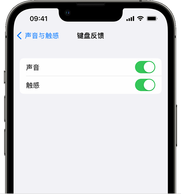 新龙镇苹果14维修店分享如何在 iPhone 14 机型中使用触感键盘 