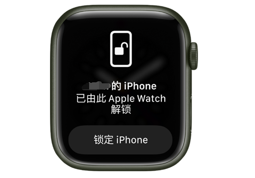 新龙镇苹果手机维修分享用 AppleWatch 解锁配备面容 ID 的 iPhone方法 