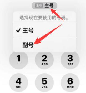 新龙镇苹果14维修店分享iPhone 14 Pro Max使用副卡打电话的方法 