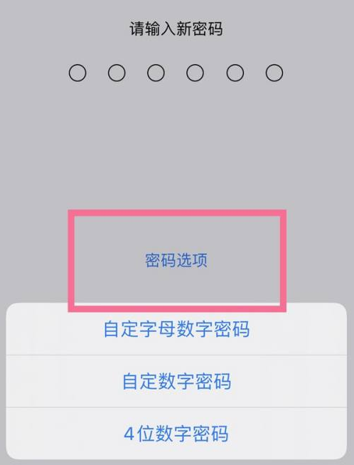 新龙镇苹果14维修分享iPhone 14plus设置密码的方法 