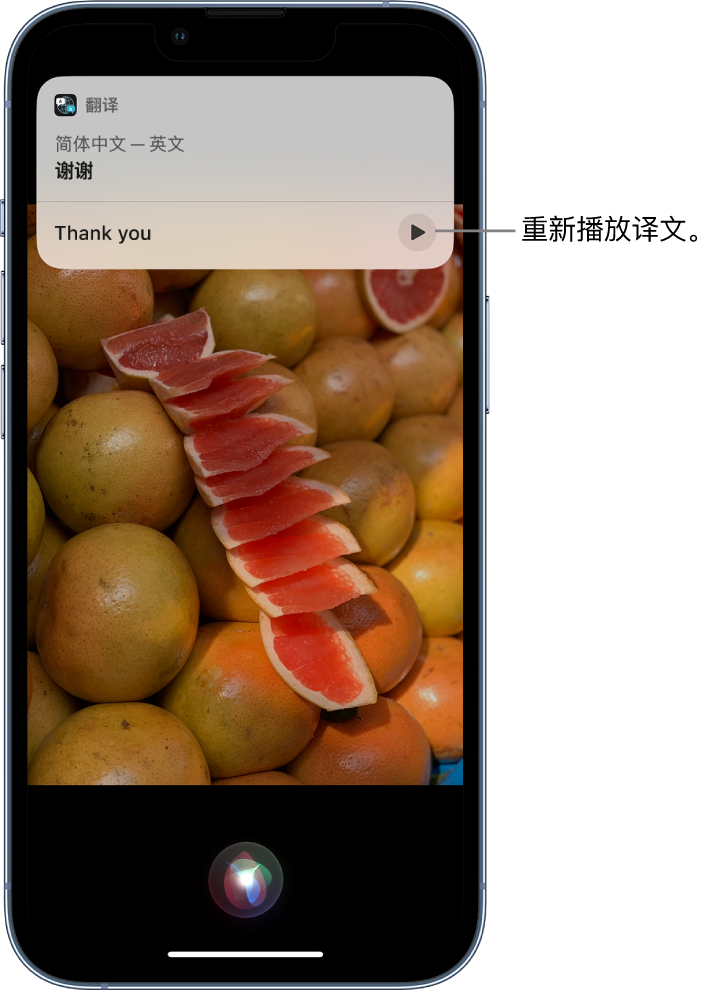 新龙镇苹果14维修分享 iPhone 14 机型中使用 Siri：了解 Siri 能帮你做什么 