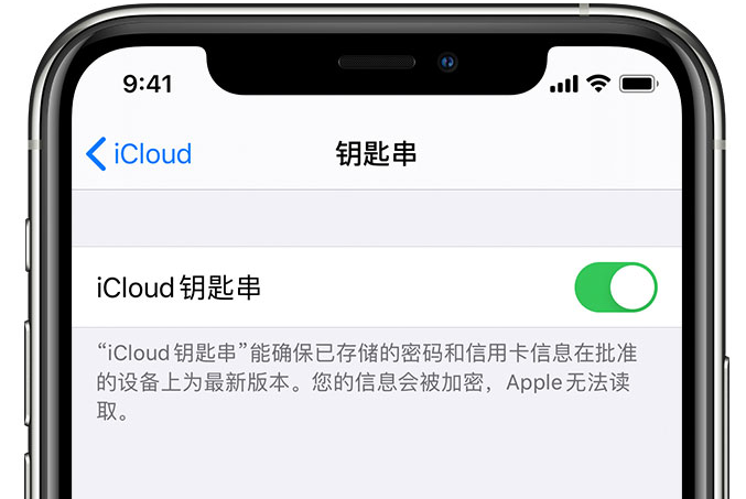 新龙镇苹果手机维修分享在 iPhone 上开启 iCloud 钥匙串之后会储存哪些信息 