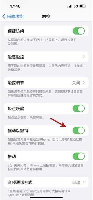 新龙镇苹果手机维修分享iPhone手机如何设置摇一摇删除文字 